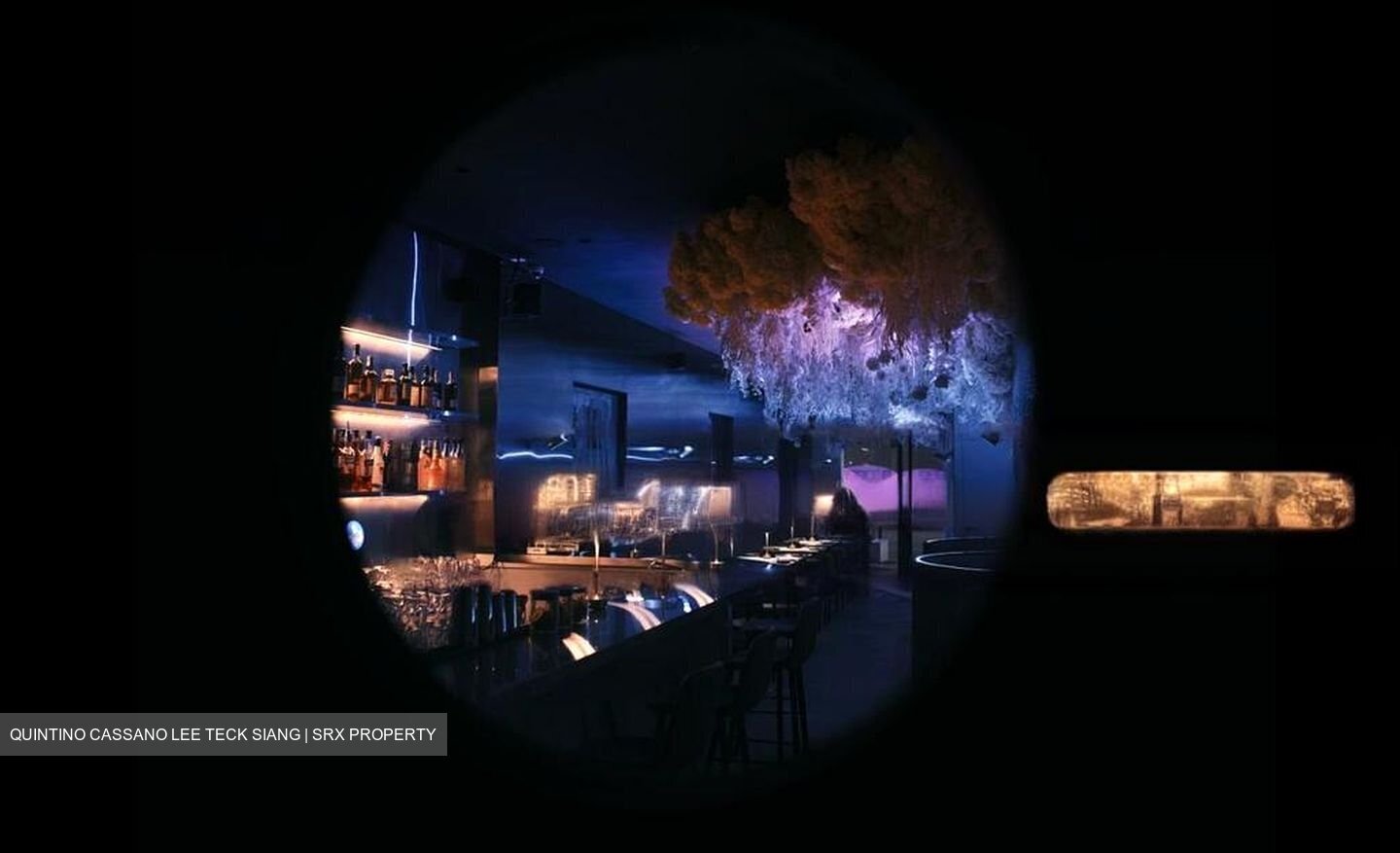 Outram Loft (D3), Shop House #456710061